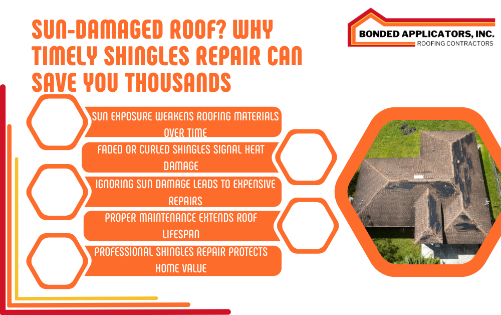 Shingles Repair